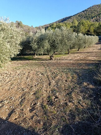 More details for Land for Sale