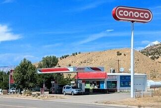 More details for Dinosaur Retail Package – Retail for Sale, Dinosaur, CO