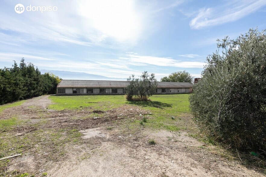 Camino del Albarrate, 6, Atarfe, Granada à vendre - Photo du bâtiment - Image 2 de 24