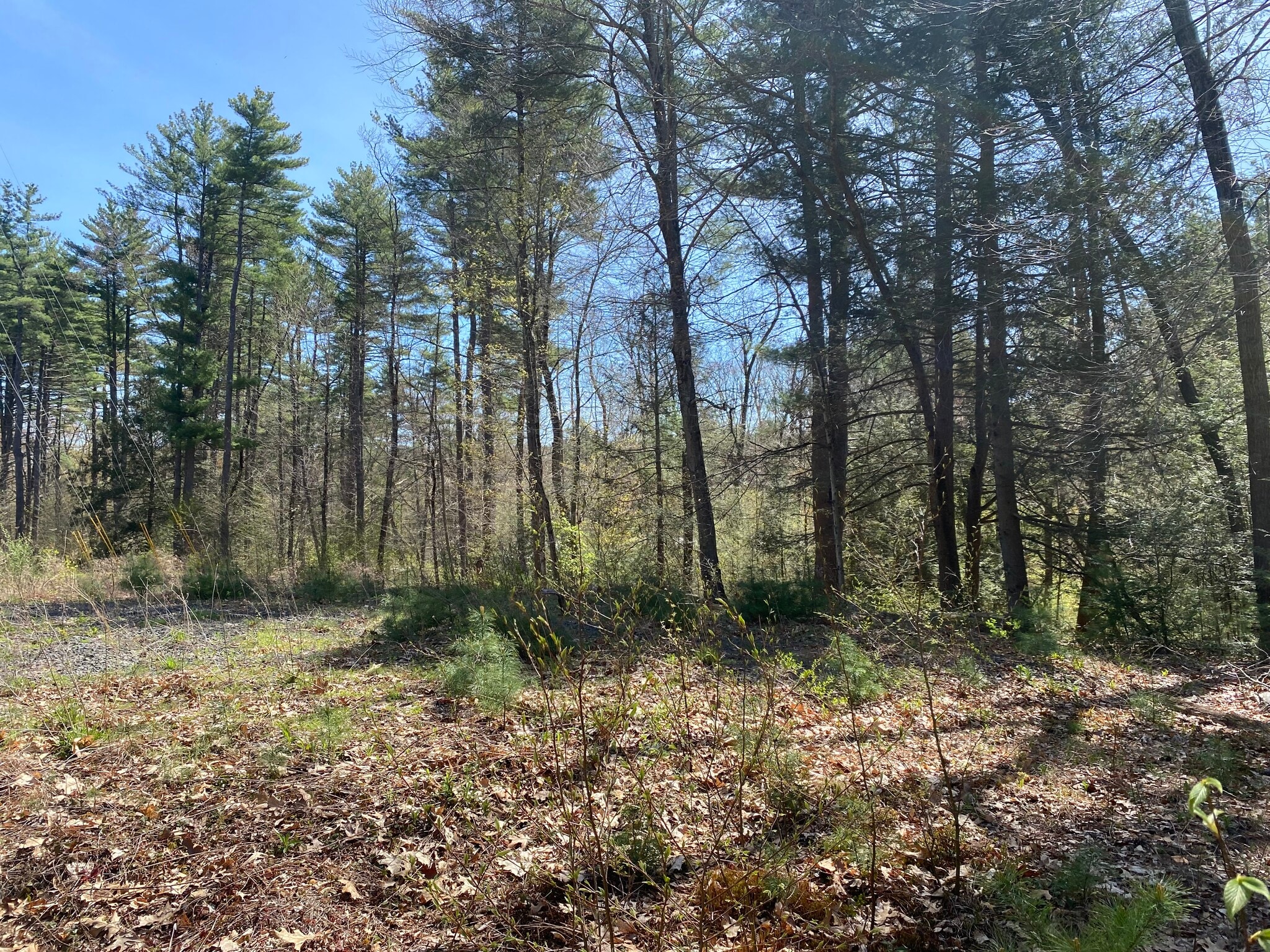 100 Pequot Rd, Southampton, MA à vendre Autre- Image 1 de 15