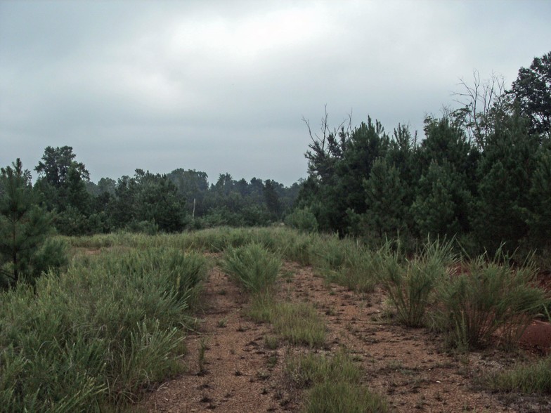 Highway 76, Newberry, SC for sale - Building Photo - Image 1 of 1