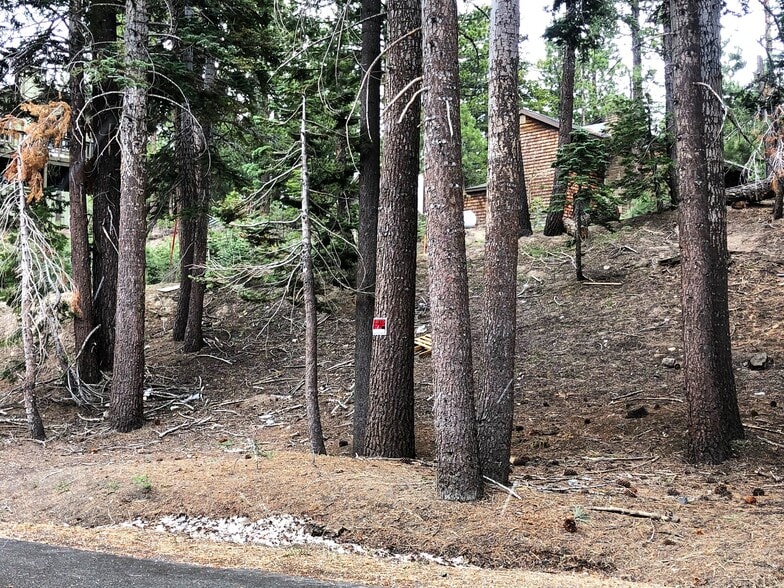 3 Berner st, Mammoth Lakes, CA for sale - Primary Photo - Image 1 of 8