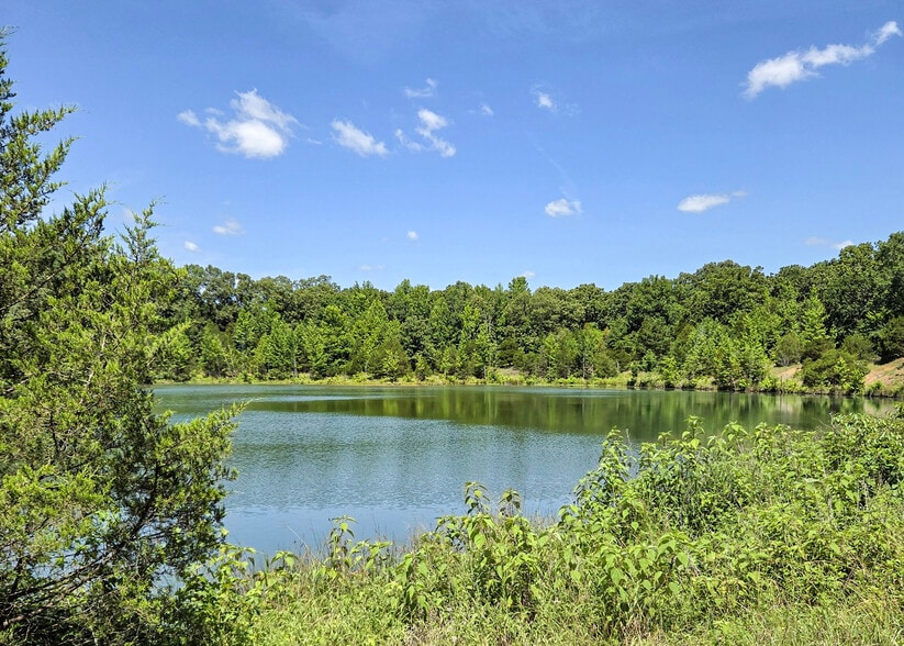 Main, Austin, AR for sale - Building Photo - Image 3 of 4