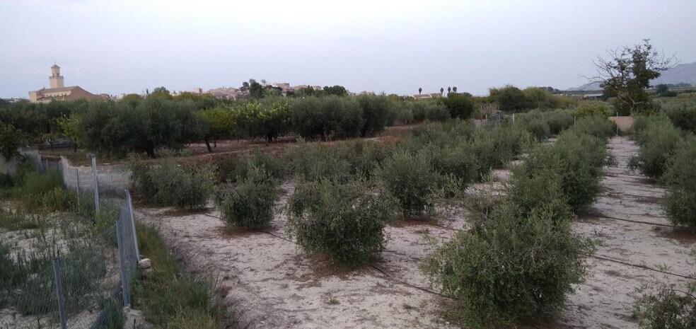 Land in Cehegín, Murcia for sale - Building Photo - Image 2 of 37