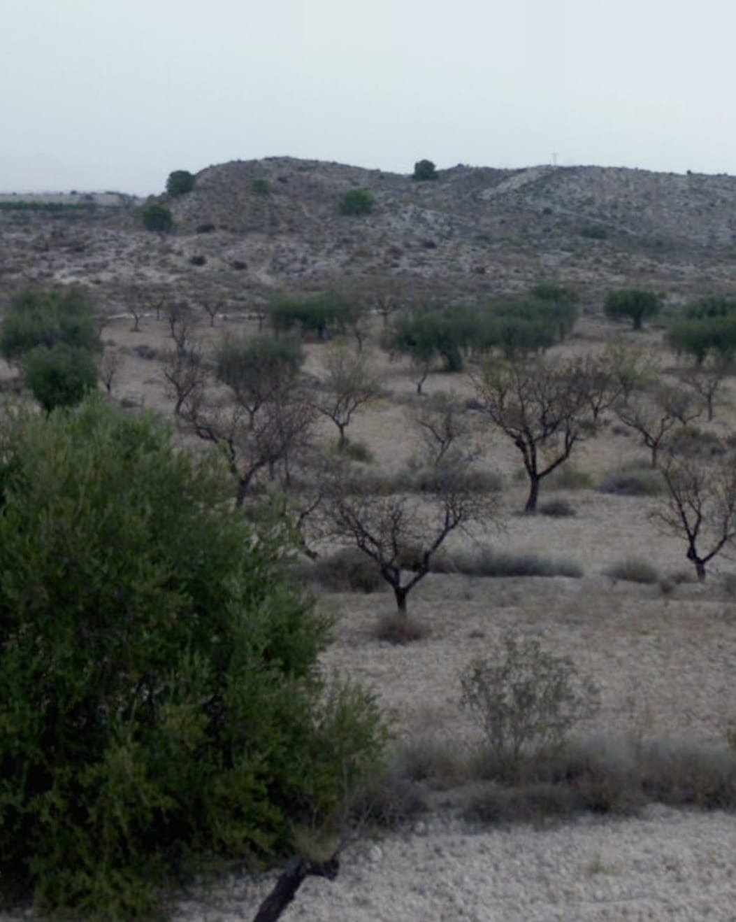 Terrain dans Molina de Segura, Murcia à vendre Photo du bâtiment- Image 1 de 3