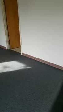 29300 Information Ln, Easton, MD à louer - Vidéo sur l’inscription commerciale - Image 3 de 14