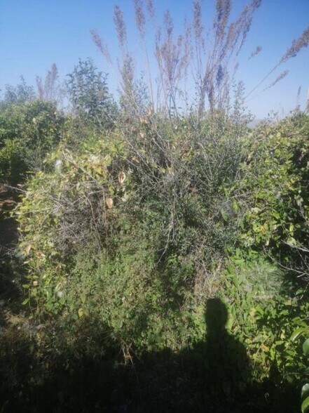 Frente Carrefour, Castellon, Castelló de la Plana, Castellón à vendre - Photo du bâtiment - Image 3 de 3