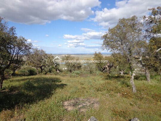 Terrain dans Sierra de Fuentes, Cáceres à vendre - Photo principale - Image 1 de 8