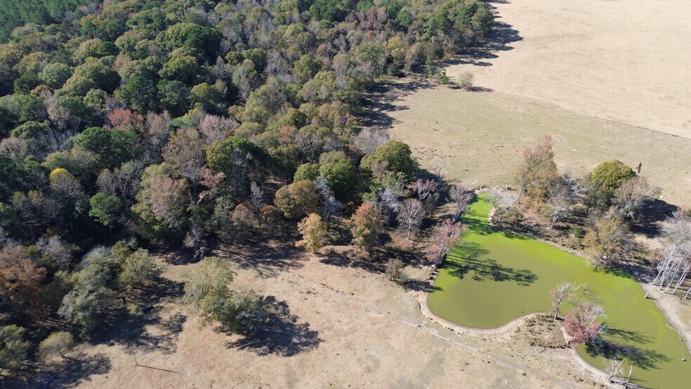 269 Pea Ridge Rd, Montrose, GA à vendre - Aérien - Image 3 de 22