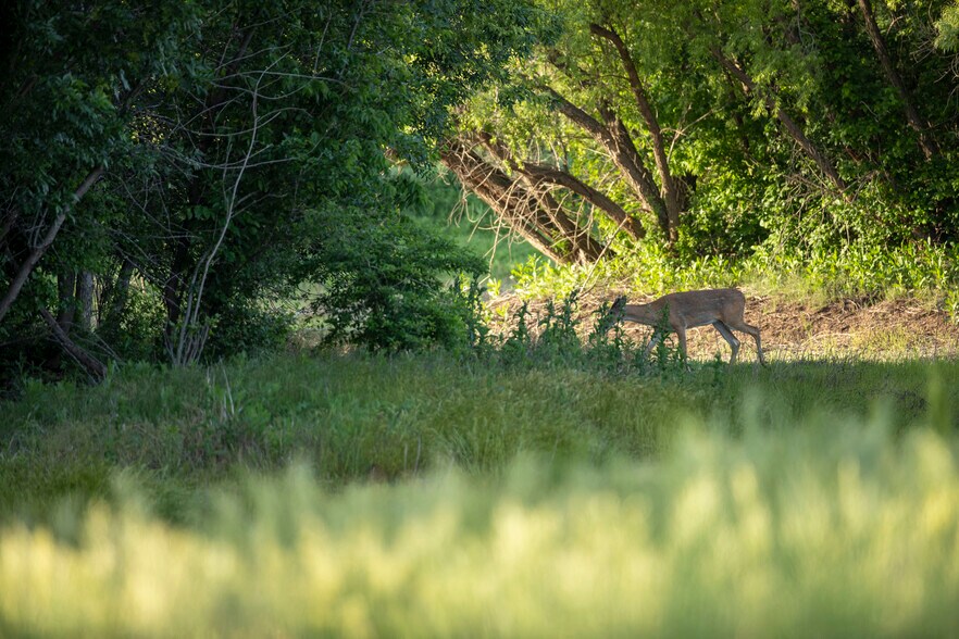 250 Ute Rd, Delphos, KS à vendre - Photo du bâtiment - Image 3 de 16