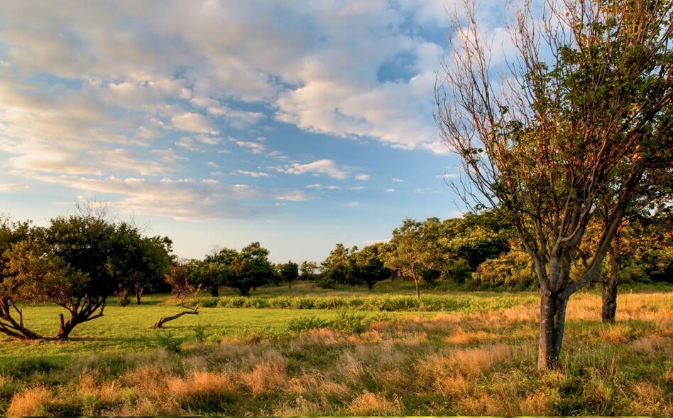 805 North Rd, Greenport, NY for sale - Other - Image 3 of 4