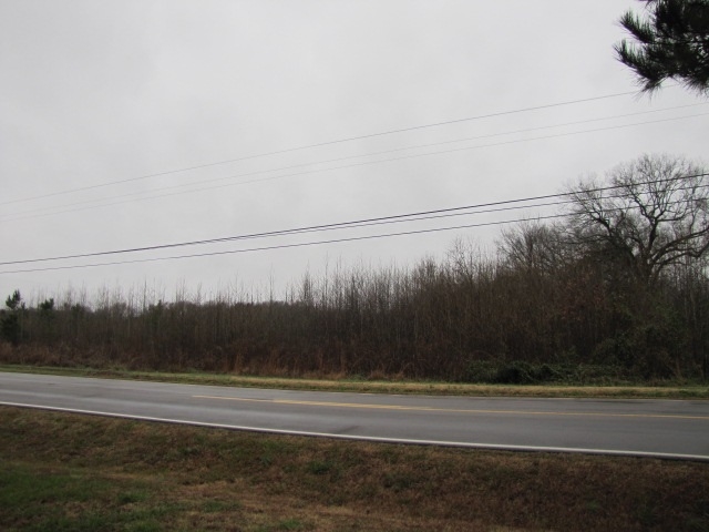 Highway 196, Arlington, TN for sale Primary Photo- Image 1 of 1