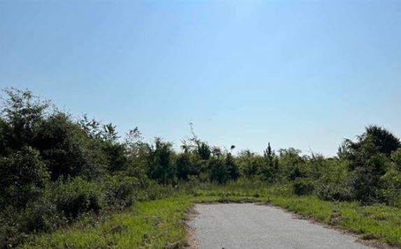 Hwy 87 & 87 Bypass, Cochran, GA for sale - Building Photo - Image 2 of 7