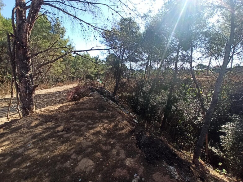 Land in Alberic, Valencia for sale - Primary Photo - Image 3 of 6