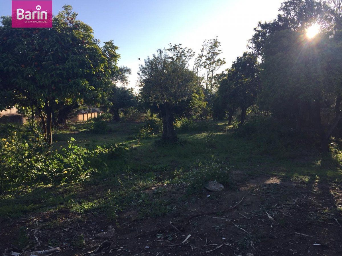 Land in Córdoba, Córdoba for sale Primary Photo- Image 1 of 7