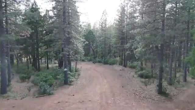 1989 Tract Shingletown Ridge Rd, Shingletown, CA for sale - Commercial Listing Video - Image 2 of 31