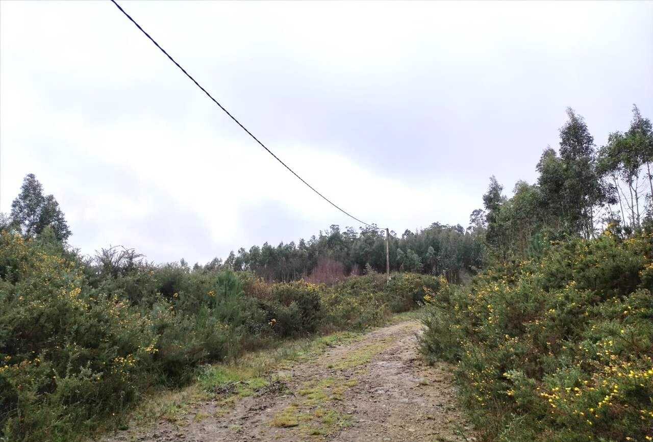 Parcela, 16, A Coruña, La Coruna for sale Building Photo- Image 1 of 17