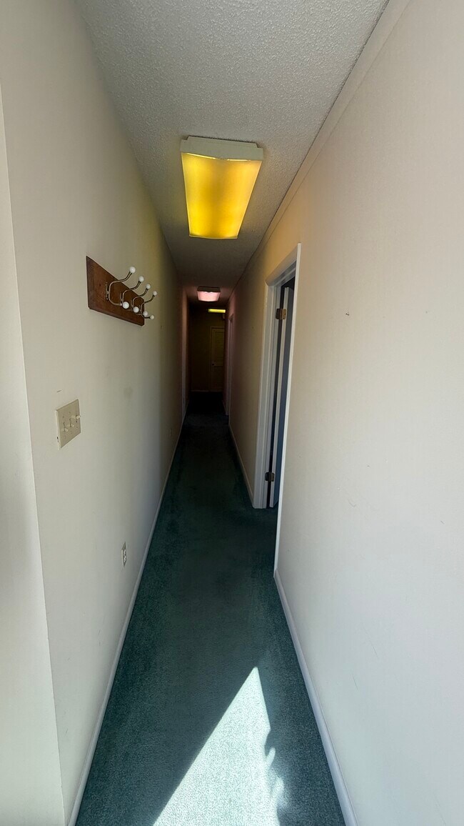 Plus de détails pour 2900 Dune Dr, Avalon, NJ - Bureau à louer