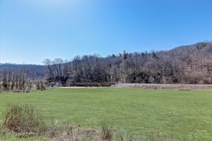 TBD Smokey Park Highway, Candler NC - Emplacement de mariage