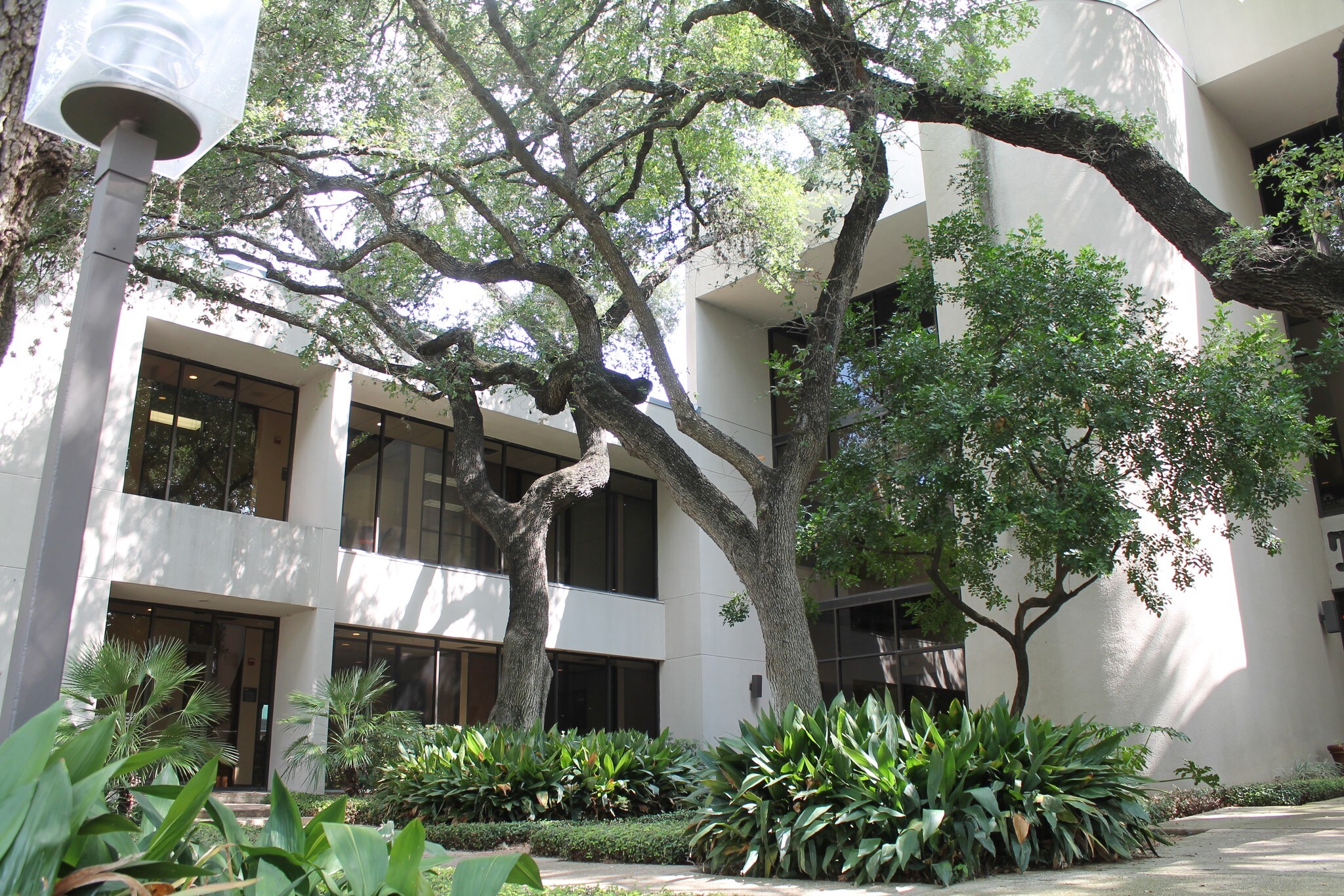 1901 NW Military Hwy, San Antonio, TX for lease Building Photo- Image 1 of 12