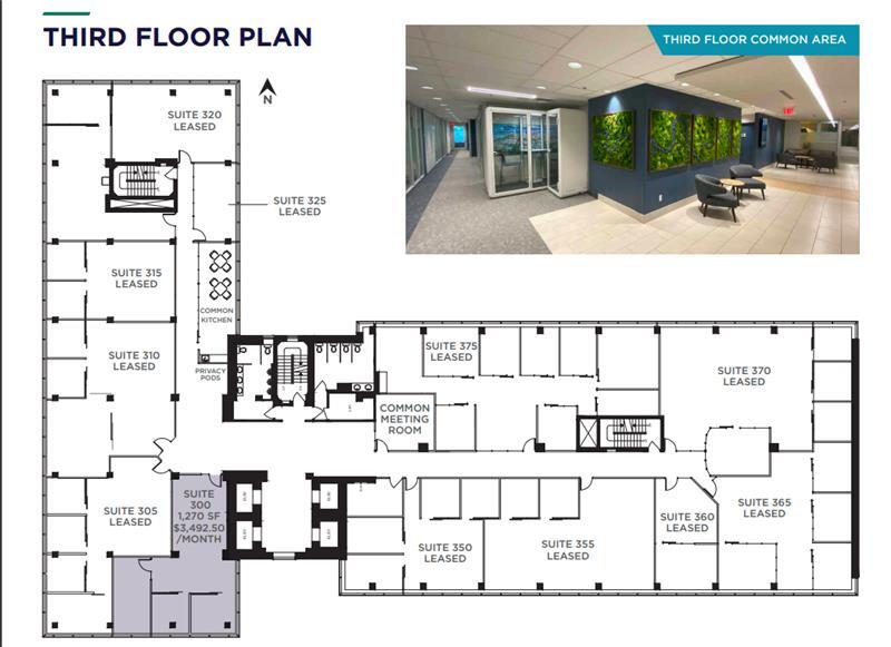 11150 Jasper Av NW, Edmonton, AB for lease Floor Plan- Image 1 of 1