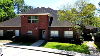 More details for 10505 Six Pines Dr, Spring, TX - Retail for Lease