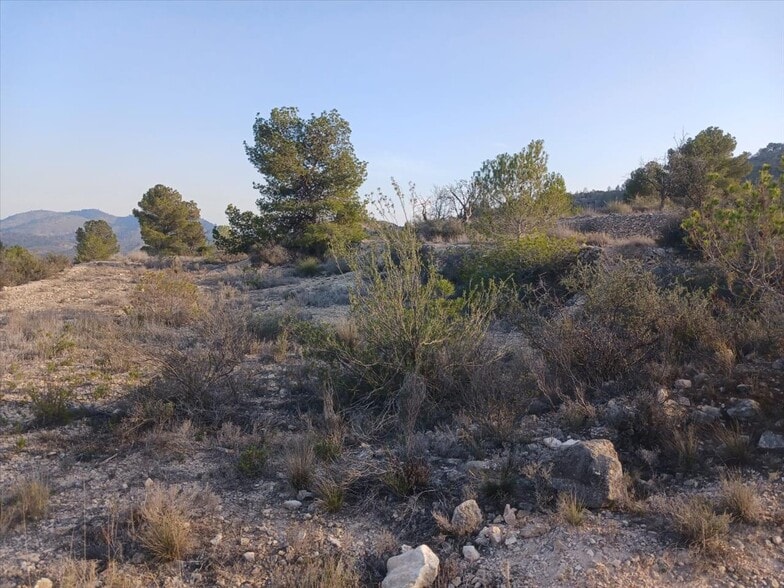 Proc. Simplificado, MONÒVER, Alicante à vendre - Photo principale - Image 3 de 20