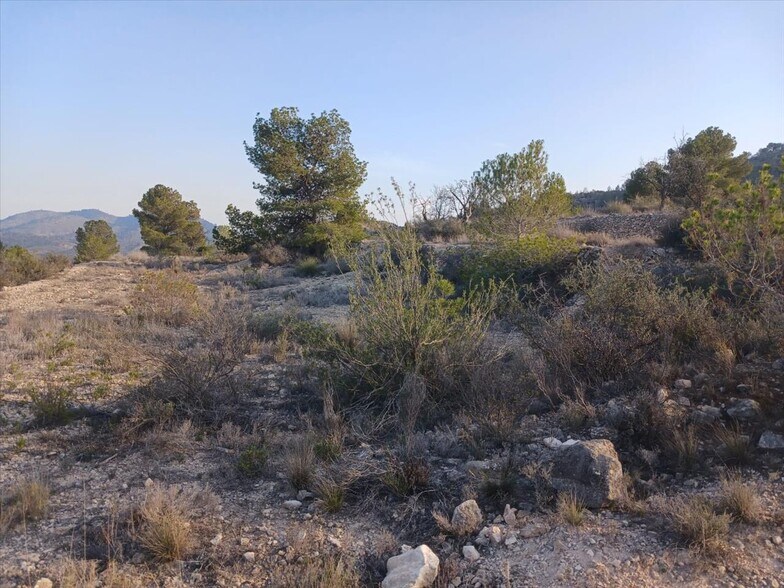 Proc. Simplificado, MONÒVER, Alicante for sale - Primary Photo - Image 3 of 20