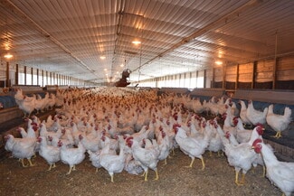 Plus de détails pour 441 Weaver Rd, Moultrie, GA - Terrain à vendre