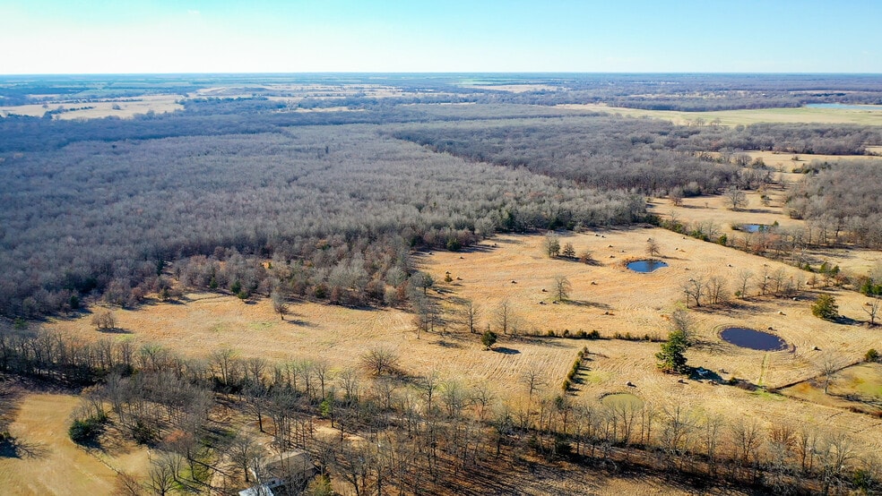 1200 County 1255 rd, Detroit, TX for sale - Primary Photo - Image 1 of 78