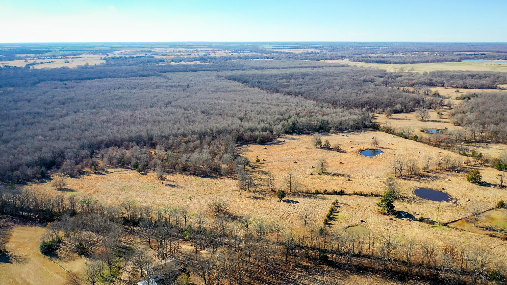 1200 County 1255 rd, Detroit, TX à vendre Photo principale- Image 1 de 79