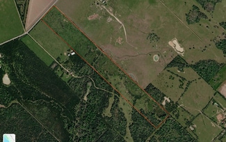 Plus de détails pour 831 Stockold Rd, Sealy, TX - Terrain à vendre