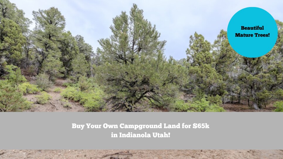 East Highway 89, Indianola, UT for sale - Building Photo - Image 1 of 6