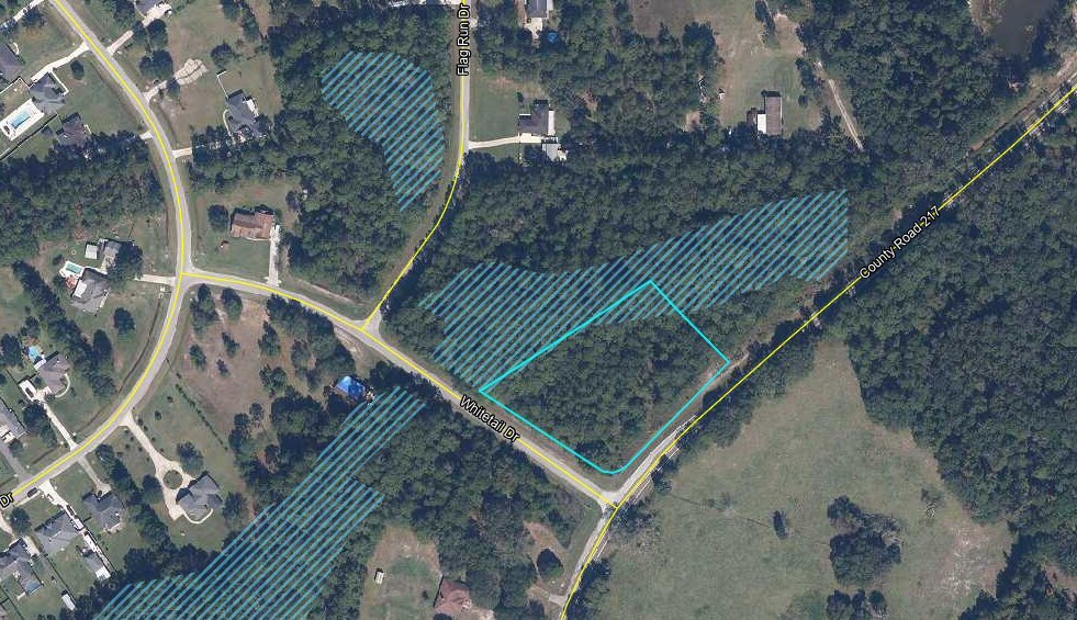 CR 217, Jacksonville, FL for sale - Aerial - Image 2 of 4