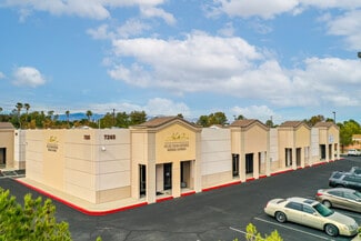 Plus de détails pour 7265 Dean Martin Dr, Las Vegas, NV - Bureau à louer