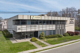 Plus de détails pour 241 Molnar Dr, Elmwood Park, NJ - Bureau, Bureau/Médical à louer