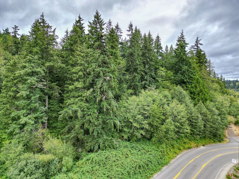 7th Ave, Poulsbo, WA à vendre - Aérien - Image 1 de 12