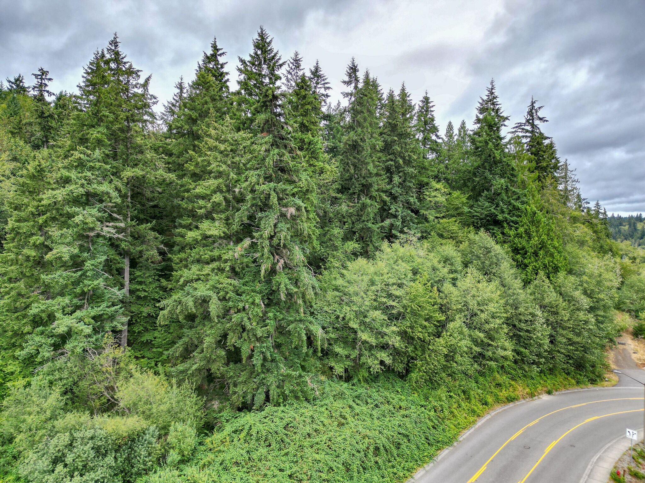 7th Ave, Poulsbo, WA for sale Aerial- Image 1 of 13