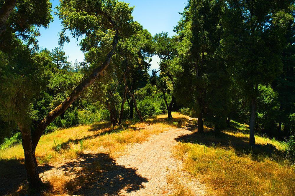 01 Sequoia Way, Aptos, CA à vendre Photo principale- Image 1 de 47