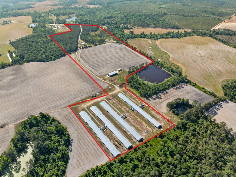40 Azalea Ln, Hazlehurst, GA à vendre - Aérien - Image 3 de 15