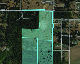 Plus de détails pour 260th St, Spanaway, WA - Terrain à vendre