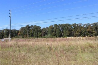 Plus de détails pour Highway 157, Cullman, AL - Terrain à vendre