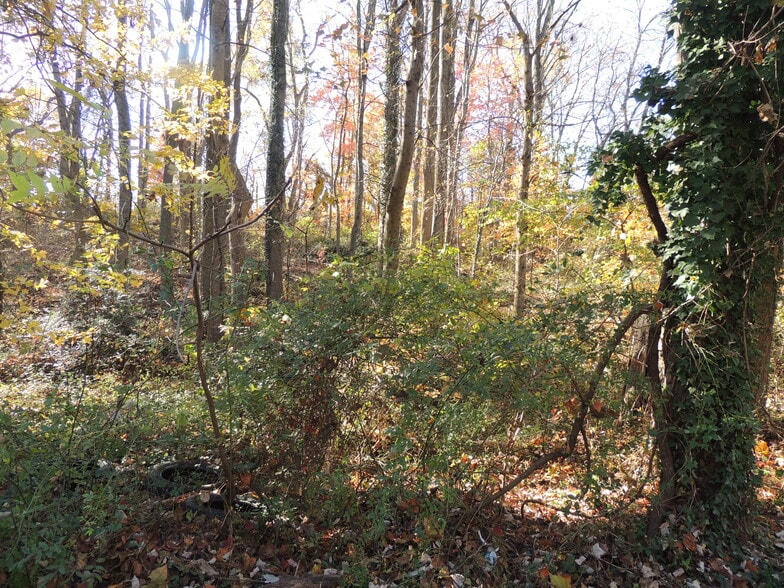 1841 Bel Air Rd, Woodbridge, VA à vendre - Photo du bâtiment - Image 2 de 6