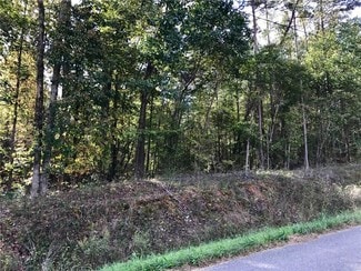 Plus de détails pour Rockfence Rd, Adairsville, GA - Terrain à vendre