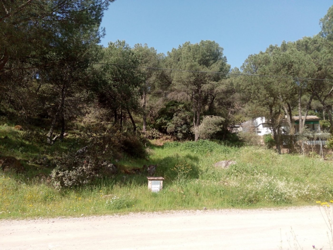 Land in Córdoba, Córdoba for sale Primary Photo- Image 1 of 6