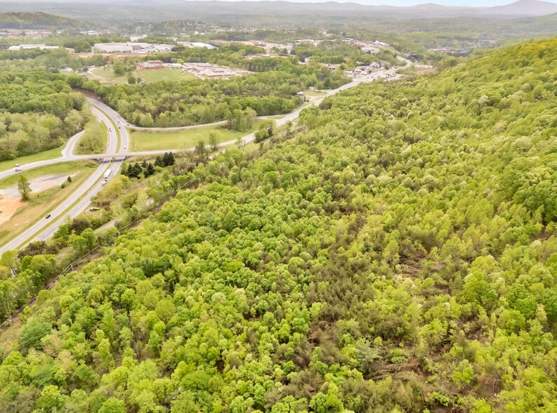 Grassy Hill Rd, Rocky Mount, VA à vendre - Photo du bâtiment - Image 2 de 15