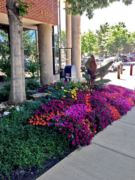 4350 Wadsworth Blvd, Wheat Ridge, CO à louer - Photo du bâtiment - Image 2 de 4