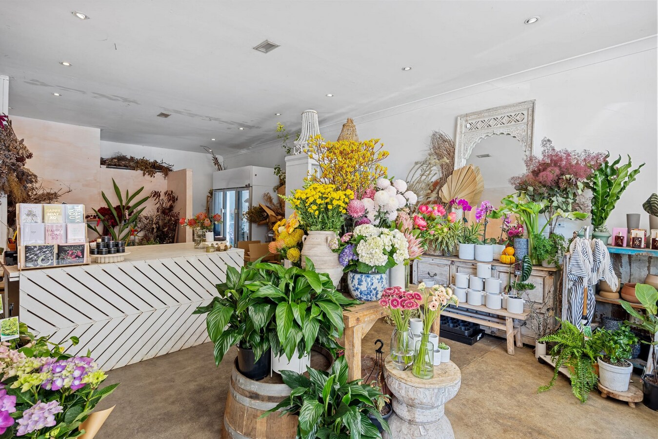 22A Darley Rd, Manly, NSW 2095 - Unit 3 -  - Interior Photo - Image 2 of 3
