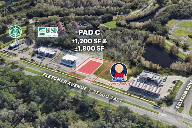 7141 E Fletcher Ave, Temple Terrace, FL for lease - Building Photo - Image 1 of 4