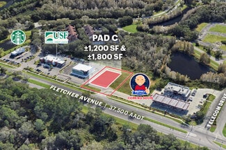 Plus de détails pour 7141 E Fletcher Ave, Temple Terrace, FL - Commerce de détail à louer